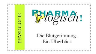 Die Blutgerinnung  ein Überblick [upl. by Suiddaht]