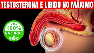 15 Alimentos para Impulsionar a Testosterona e Turbinar a Libido  CORPO HIPERTROFIADO [upl. by Oalsinatse897]