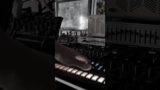 TR8s  DUB Techno electronicmusic daybreak synth hardwarelive tr8s [upl. by Berky824]