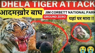 DHELA TIGER ATTACK ‼️Jim Corbett National Park पिंजरा लग गया है Maneater Tiger [upl. by Hanfurd]