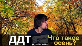 ДДТ  ЧТО ТАКОЕ ОСЕНЬ укулеле кавер [upl. by Rafiq844]