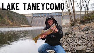 River Trout Fishing Below Table Rock Lake Dam [upl. by Naraj]