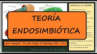 La Teoría Endosimbiótica de Lynn Margulis Resumen y Explicación Células Evolución Eucariotas [upl. by Knuth435]