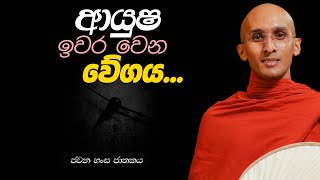 251 ආයුෂ ඉවර වෙන වේගය  ජවන හංස ජාතකය  20240203 [upl. by Nylikcaj]