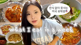 ENG 재료값 두배여도 한식 못 잃는 미국 유학생 🇺🇸 • My comfort Korean food ⋰˚★ [upl. by Quickel]