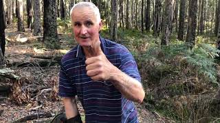 Sensational Day Out Gold Detecting in the Victorian Goldfields  Minelab GPX5000  Gold Adventure [upl. by Quintus946]