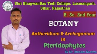 B Sc 2nd Year  Botany  Antheridium  Dr Jitendra Kantiya  Shri BhagwanDas Todi College [upl. by Luedtke]