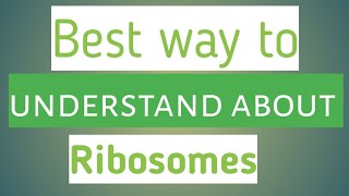 Structure and function of ribosomes cell ky ribosomes ka function [upl. by Enylcaj]