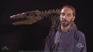 Documental de Dinosaurios En ESPAÑOL NATIONAL GEOGRAPHIC TYRANNOSAURUS REX [upl. by Gail552]