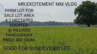 V87 42 HECTARESFARM LOT FOR SALE mrexcitementmixvlog [upl. by Munn]