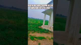 🥀8 parche Bani sandhu  8 parche lofi remix status 💞 whatsapp status 🥀 shorts [upl. by Nelan]