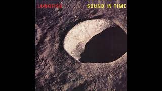 Lungfish quotSound In Timequot Full LP [upl. by Leod]