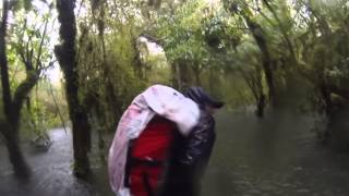 Milford Track Flooding [upl. by Errick]