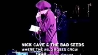 Nick Cave amp Blixa Bargeld  Where the Wild Roses Grow Live 1998 [upl. by Plath50]