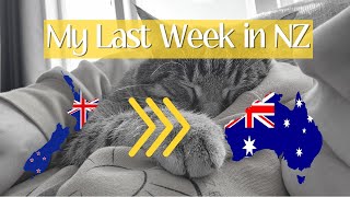 My Last Week In New Zealand Preparing To Move [upl. by Camilla109]