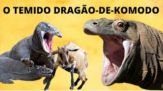 DRAGÃODEKOMODO O LAGARTO VENENOSO GIGANTE DAS ILHAS DA INDONÉSIA [upl. by Htezil]