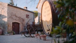 San Gimignano Vineyard Visit  Italys Treasures  Collette [upl. by Etteuqaj]