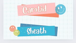 lets learn about carotid sheath [upl. by Basset787]