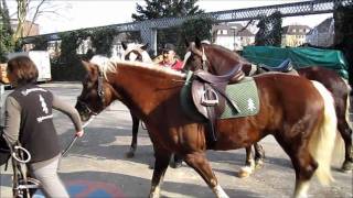 Equitana 2011  Rundgang  Haarmode bei Pferden   Der Zopf ist in [upl. by Tongue344]