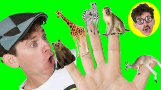 Finger Family Song  Wild Animals Part 2 with Matt  Learning Animals Names  Learn English Kids [upl. by Mortie]