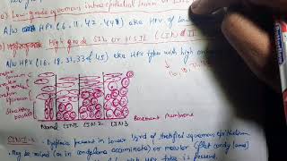 Cervical Intraepithelial Neoplasia CIN Pathology [upl. by Nirra]