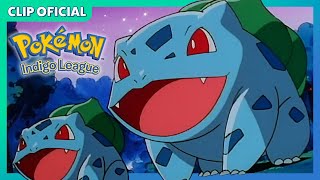 ¡La canción de evolución de Bulbasaur  Pokémon Liga Añil  Clip oficial [upl. by Annal]