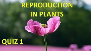 Reproduction in plants Quiz 1 [upl. by Ecnal477]