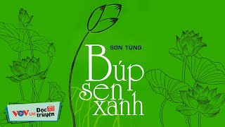 Trọn Bộ Tiểu Thuyết Về Thời Niên Thiếu Của Bác Hồ  BÚP SEN XANH Nhà Văn Sơn Tùng  VOV Đọc Truyện [upl. by Asher]