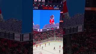 Detroit Red Wings EEEEOOOO 🐹 redwings freddiemercury [upl. by Gray291]