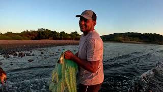 ASÍ SE ATARRAYA EN PLAYA LA BOCA SANTA CRUZ DE MIRAMAR NAYARIT MÉXICO [upl. by Janeta542]