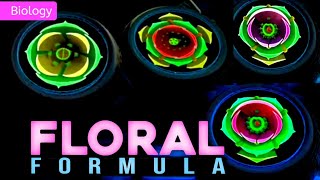 FLORAL FORMULA  CLASS 11  3D ANIMATION  MORPHOLOGY OF FLOWERING PLANTS PWNEETWallah [upl. by Rivera405]