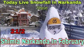 Today Live Snowfall in Narkanda  Narkanda in February [upl. by Aiva403]