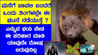 Nandi Tv Karnataka  ಮನೆಗೆ ಬಾವಲಿ ಬಂದರೆ ಭಯ ಬೇಡ ಈ ಪರಿಹಾರ ಮಾಡಿ ಯಾವುದೇ ದೋಷ ಬರುವುದಿಲ್ಲ [upl. by Sarena928]