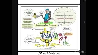 Organophosphorus poisoning medicalemergency [upl. by Kaz]