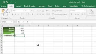 Cómo calcular el IVA en Excel [upl. by Violante5]