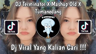 DJ TERMINATOR X MASHUP OLD X TUMANEDANG DJ DANVANTA VIRAL TIK TOK TERBARU 2023 YANG KALIAN CARI [upl. by Woodhead91]