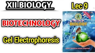 Gel Electrophoresis lec 9  BIOTECHNOLOGY class 12 bio [upl. by Barcroft39]