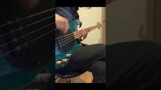 tool quotvicariousquot bass cover by eiichiro bass music alternative cover albinoredeye [upl. by Tamra]