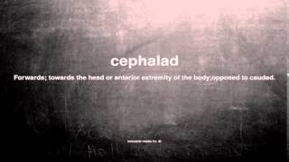 What does cephalad mean [upl. by Llabmik969]