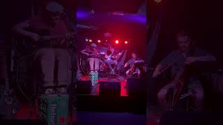 Boiled Ink  Dogs Dinner Live  Robot Budapest [upl. by Gomar]