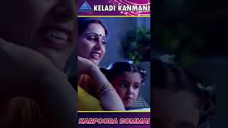 Karpoora Bommai Video Song  Keladi Kannmanii Movie Songs  SPB  Geetha  Ilayaraja  ytshorts [upl. by Armallas]