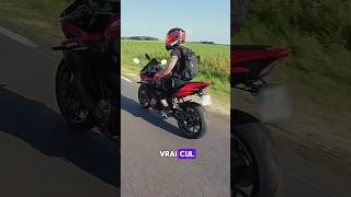 Fraternité ou frérisme  🤣 motard bikelife hondacbr650r apriliars660 dailyobservations [upl. by Shafer]