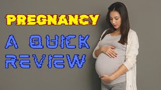 🤰🤱👉Pregnancy MonthByMonth Guide in the miracle of life for womens✅ [upl. by Leind]