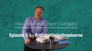 Vidnition 31  Erstatningsbetingelserne [upl. by Adnolehs]