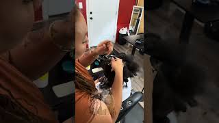 How I lock my clients hair to start interlocks [upl. by Thant]