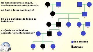 Exercício Biologia  Genética 01 [upl. by Ferrell]