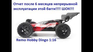 Remo hobby Dingo Отчет за пол года жестокой ежедневной эксплуатации [upl. by Cavan685]