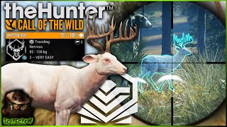 MY RAREST TROPHY SUPER RARE Diamond ALBINO Whitetail Deer Call of the wild [upl. by Ginelle680]