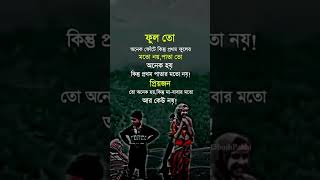 প্রথম ফুলের মতো নয়  হৃদয়স্পর্শী বাংলা শায়ারি  status shayari status foryou tiktok shorts [upl. by Kliment]