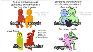 Zodiac Signs Compilation CUTE ships [upl. by Nywg]